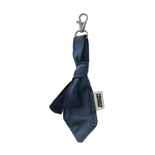 Junior Tie Keychain