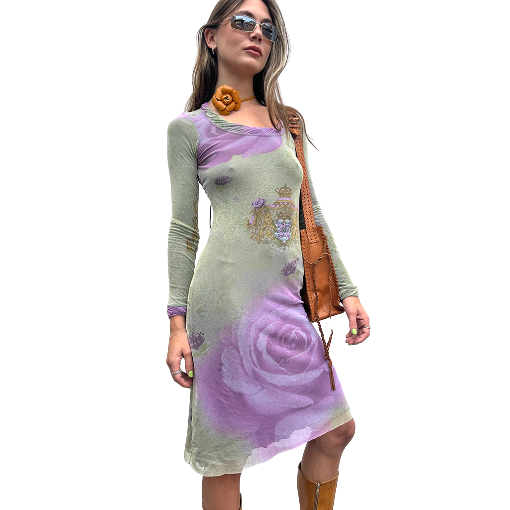 Mesh Rose Print Middy Dress