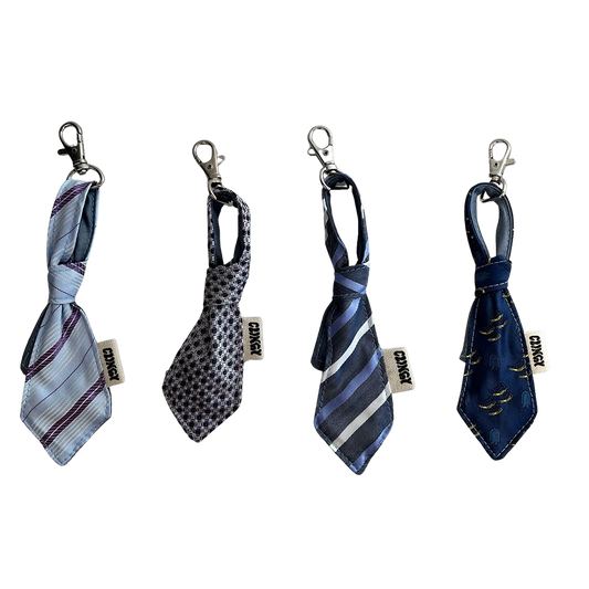 Junior Tie Keychain